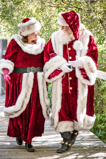 Gallery photo 2 of Santa TomT