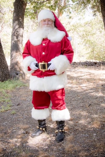 Gallery photo 3 of Santa TomT