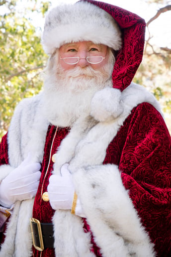 Gallery photo 11 of Santa TomT