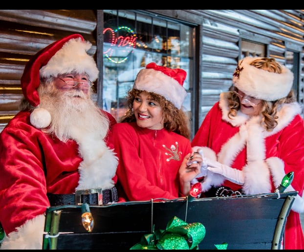 Gallery photo 13 of Santa TomT