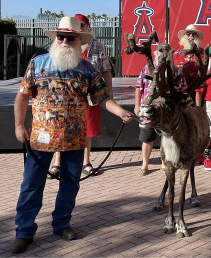 Gallery photo 15 of Santa TomT
