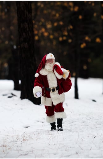 Gallery photo 23 of Santa TomT
