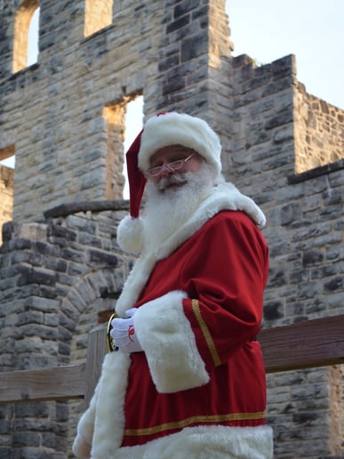 Gallery photo 9 of Santa TomC