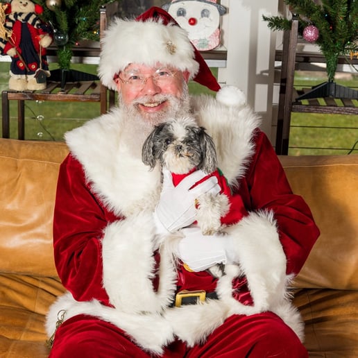 Gallery photo 5 of Santa Tony