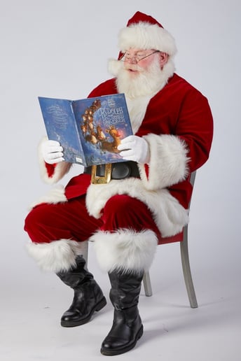 Gallery photo 3 of Santa Tracy