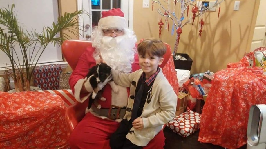 Gallery photo 1 of Santa Tracy