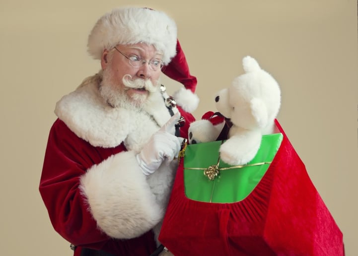 Gallery photo 25 of Santa True