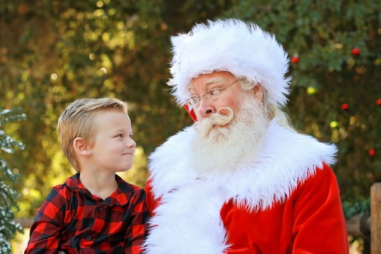 Gallery photo 10 of Santa True