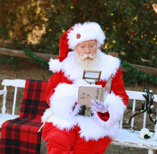 Gallery photo 14 of Santa True