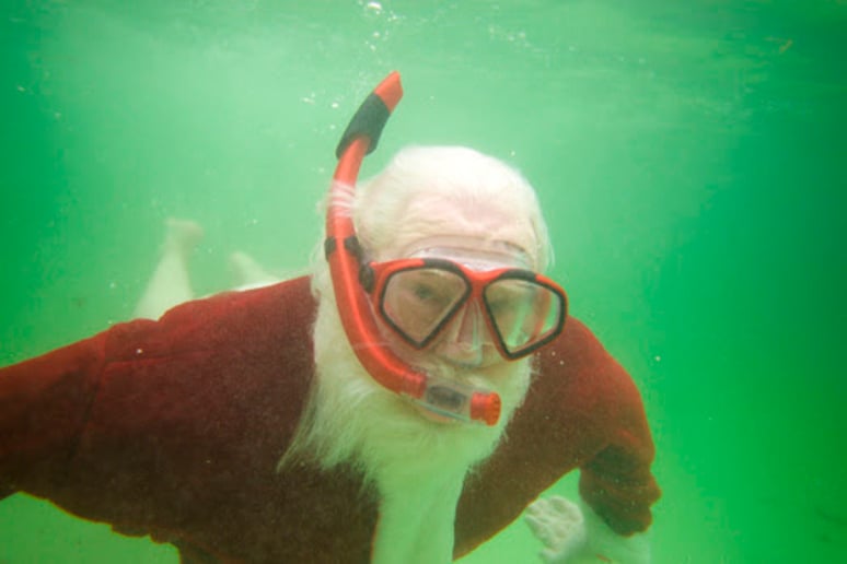 Gallery photo 9 of Santa True
