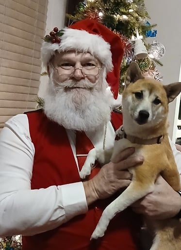 Gallery photo 11 of Santa Vegas Vic