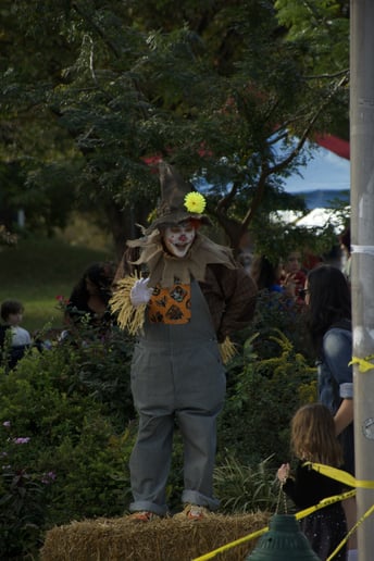 Gallery photo 1 of Isaac The Clown