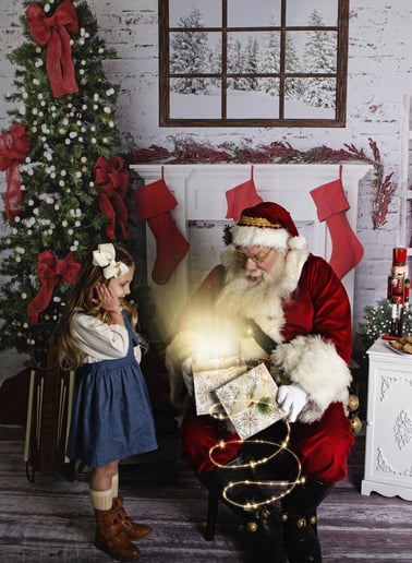 Gallery photo 3 of Professional Santa Evan