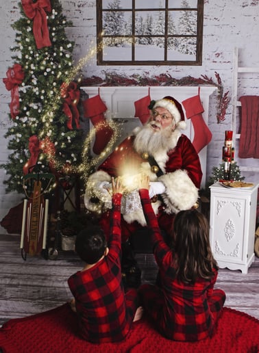 Gallery photo 5 of Professional Santa Evan