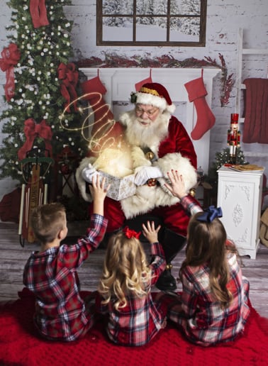 Gallery photo 6 of Professional Santa Evan