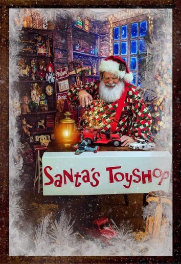 Gallery photo 7 of Professional Santa Evan