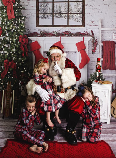 Gallery photo 8 of Professional Santa Evan