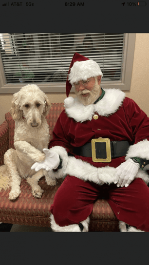 Gallery photo 6 of Santa Wade