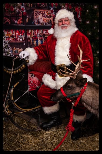 Gallery photo 1 of Santa Walter