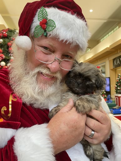 Gallery photo 1 of Santa Wayne