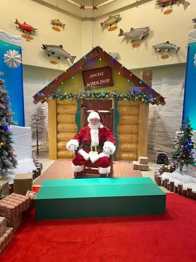 Gallery photo 6 of Santa Wayne