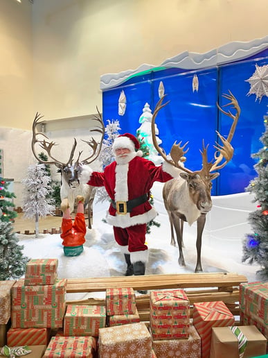 Gallery photo 7 of Santa Wayne