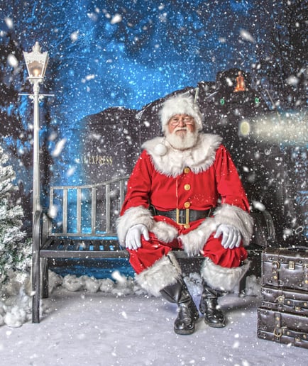 Gallery photo 4 of Santa Willie