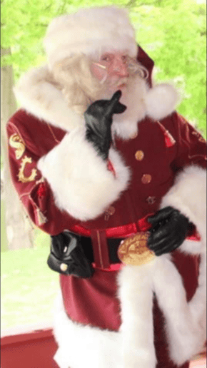 Gallery photo 3 of Santa Wings