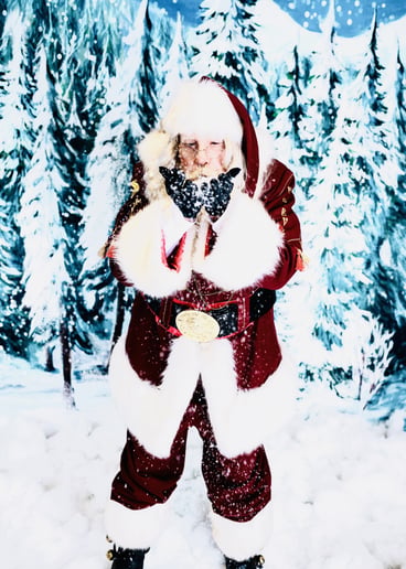 Gallery photo 6 of Santa Wings