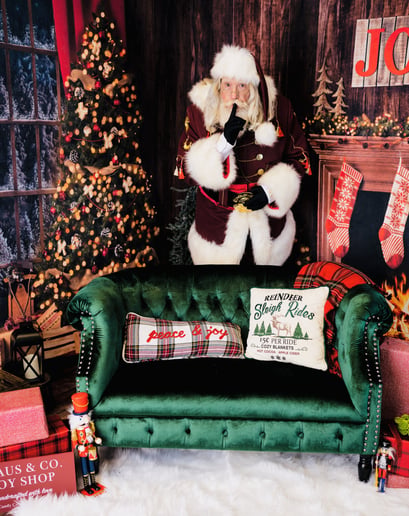 Gallery photo 8 of Santa Wings