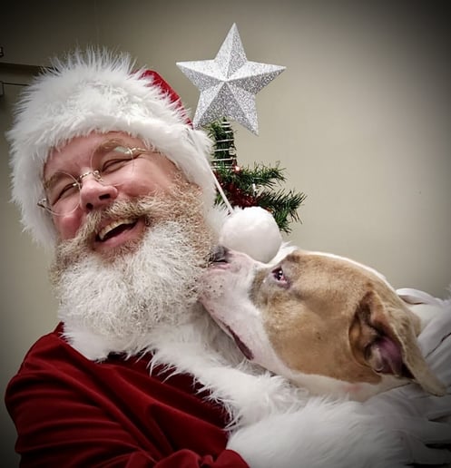 Gallery photo 8 of Santa with Joe