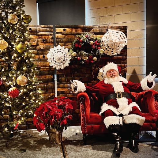 Gallery photo 6 of Santa with Joe
