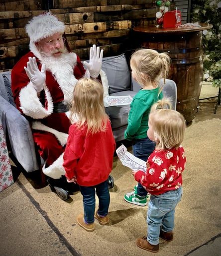 Gallery photo 10 of Santa with Joe