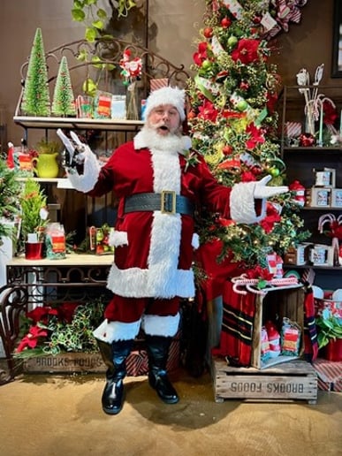 Gallery photo 7 of Santa with Joe