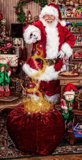 Gallery photo 5 of Santa Yogi