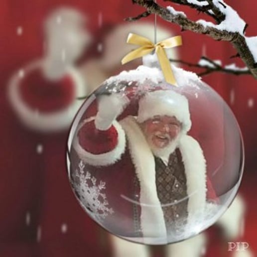 Gallery photo 10 of Santa Yogi