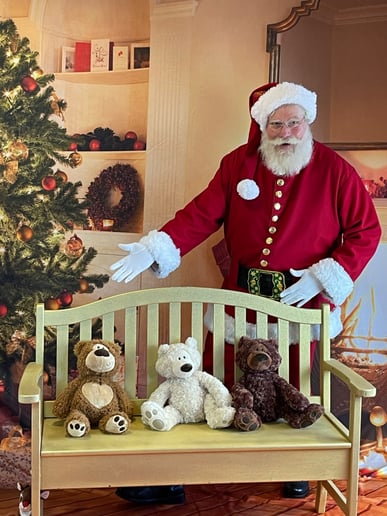 Gallery photo 2 of Santa Zed