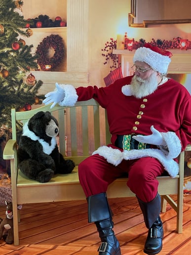 Gallery photo 4 of Santa Zed