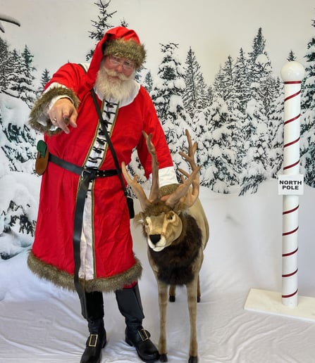 Gallery photo 7 of Santa Zed