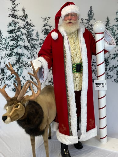 Gallery photo 9 of Santa Zed
