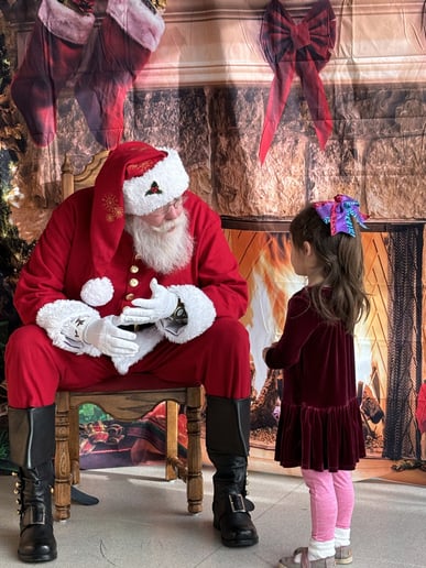Gallery photo 6 of Santa Zed