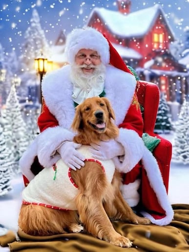Gallery photo 5 of Santa Brent