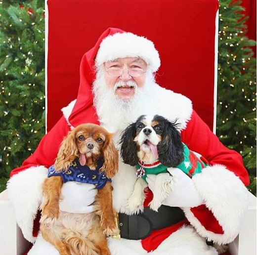Gallery photo 3 of Santa Frank