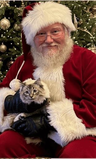 Gallery photo 4 of Santa Shawn
