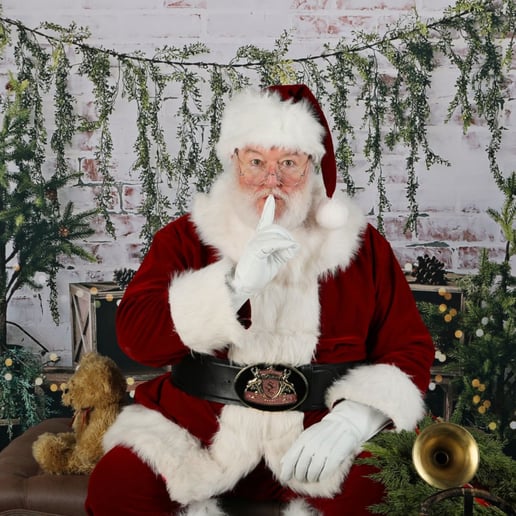 Gallery photo 11 of Santa Dave Hastings