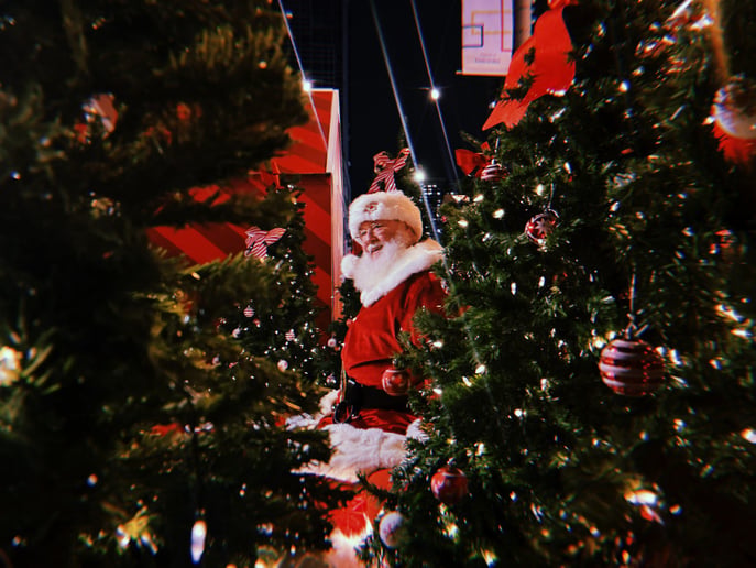 Gallery photo 5 of Santa Dave Hastings