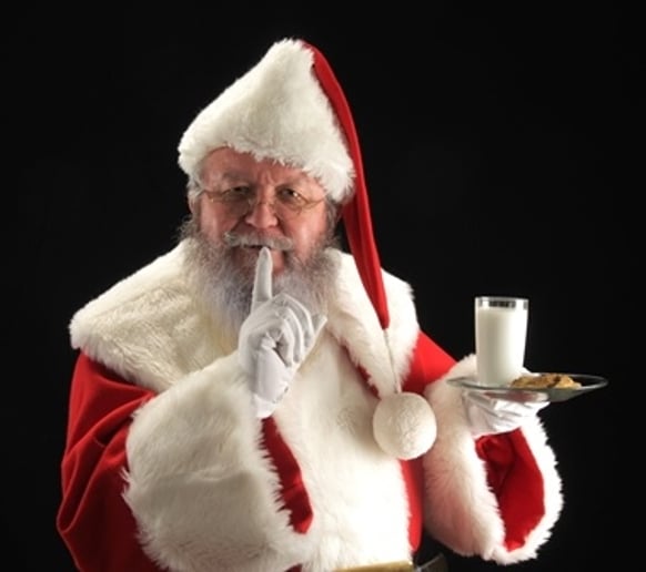 Gallery photo 2 of SantaFinn