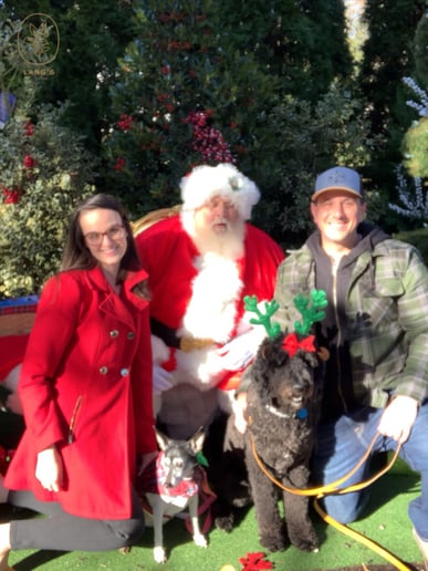 Gallery photo 2 of Santa Wildy