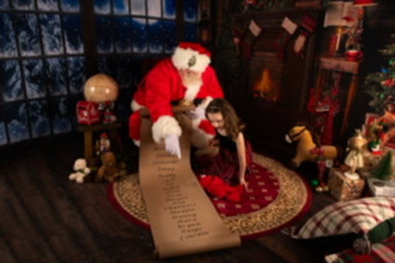 Gallery photo 5 of Santa Wildy