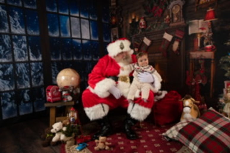 Gallery photo 6 of Santa Wildy